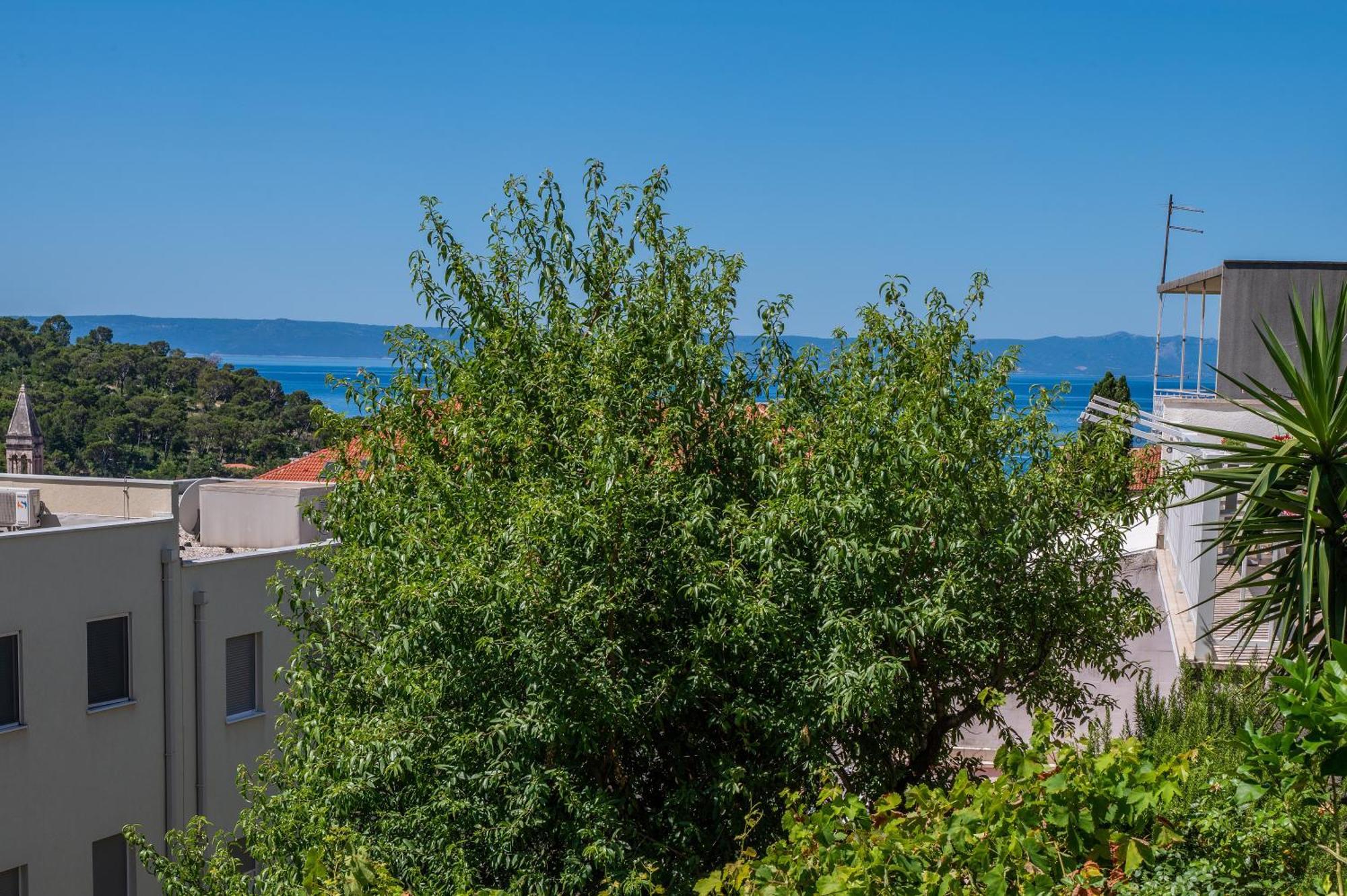 Apartmani Sani Makarska Kültér fotó