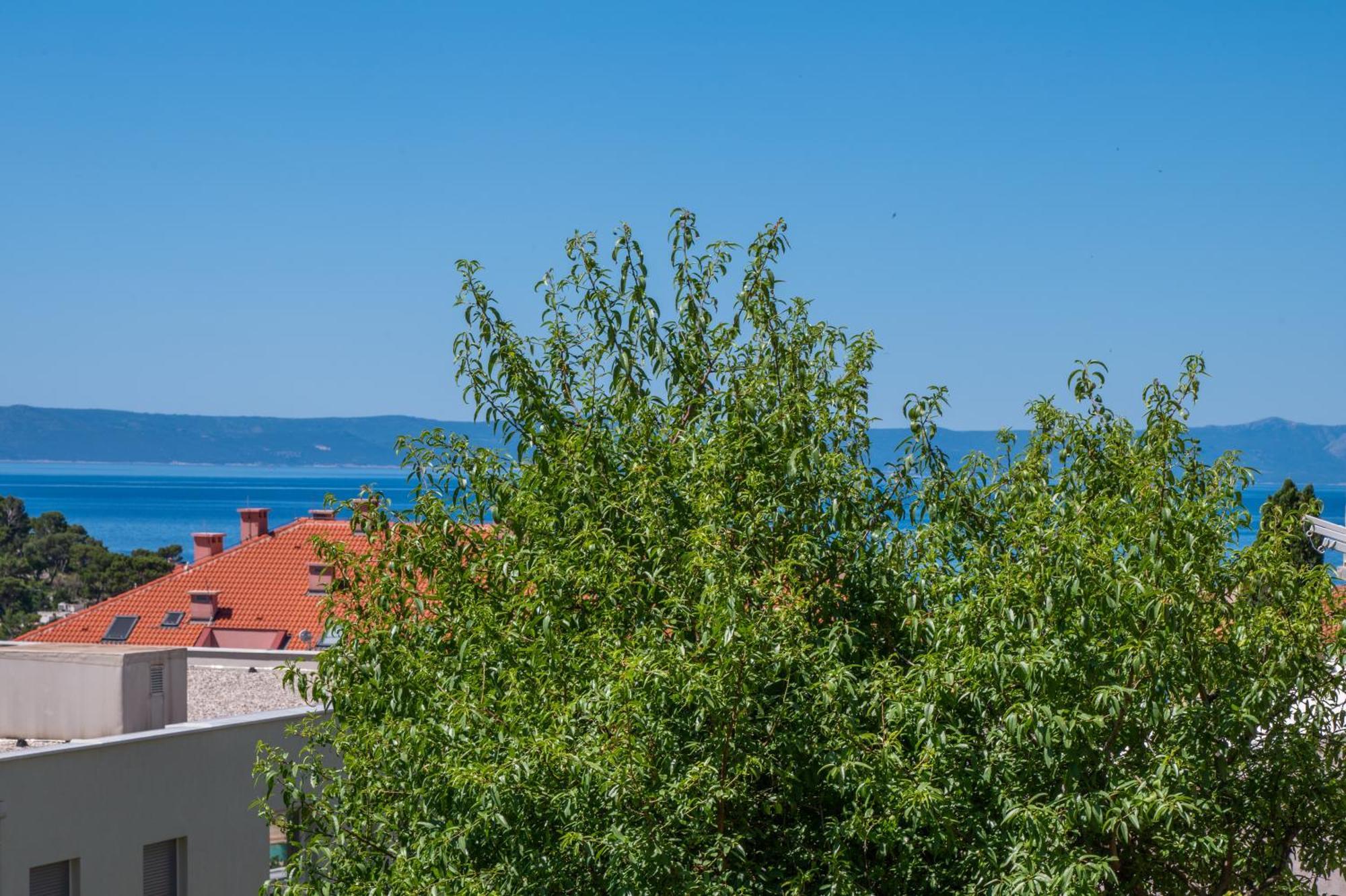 Apartmani Sani Makarska Kültér fotó